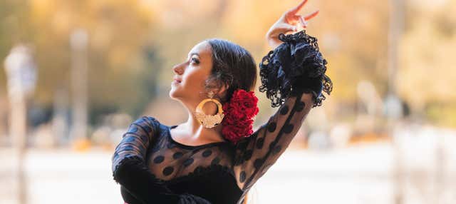 Seville Flamenco Dance Museum Show